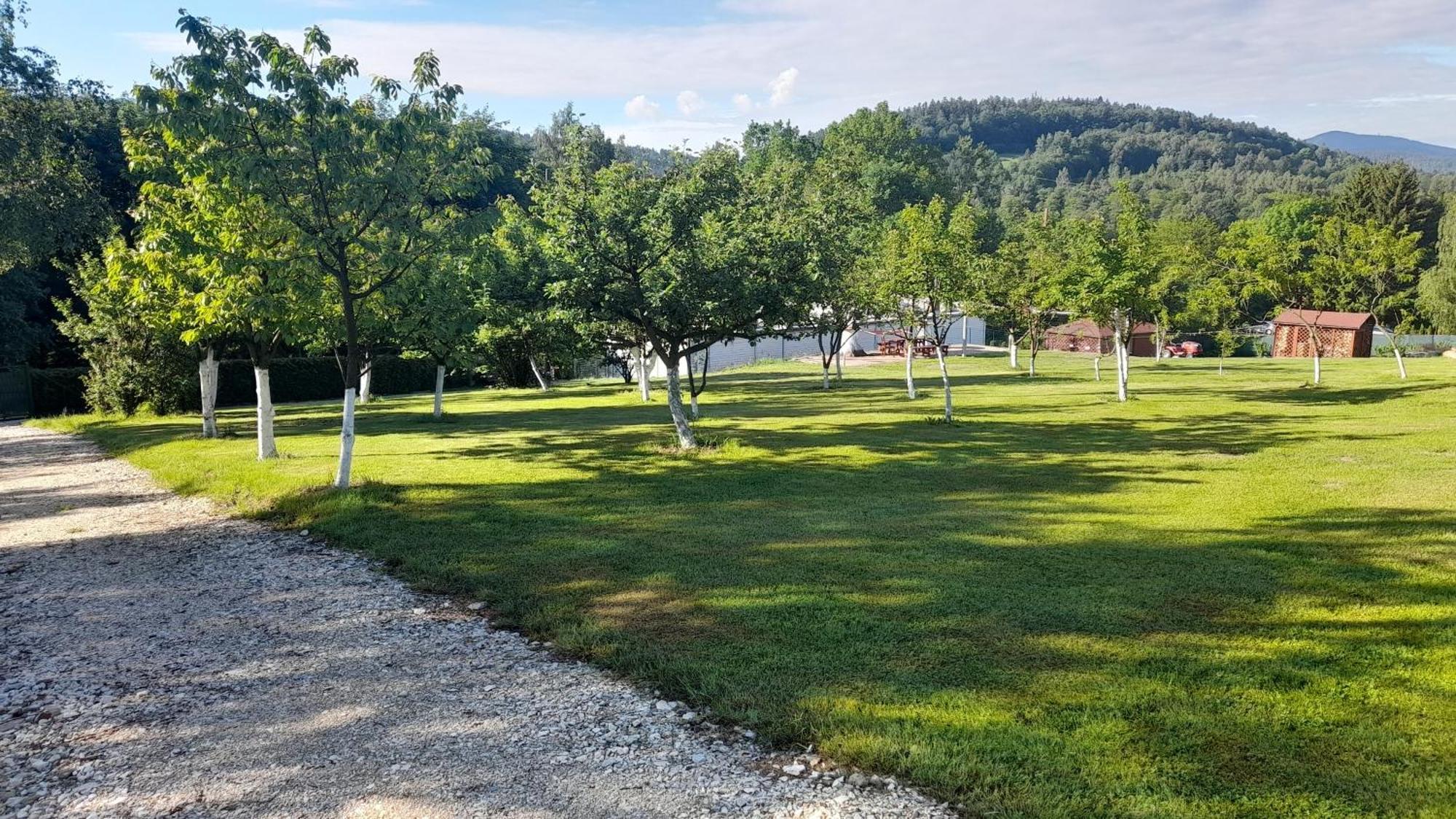 Orzechówka Lądek-Zdrój Exterior foto